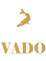 vadomirante-v2.rodrigodesign.pro